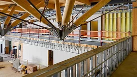 WC1022-FEAT-SuperStud-p1FT-1-CFS-inMassTimber.jpg